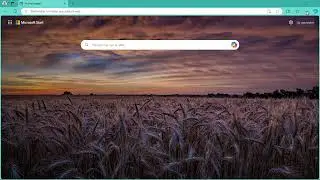 Supprimer les cookies dans Edge facilement en 2024