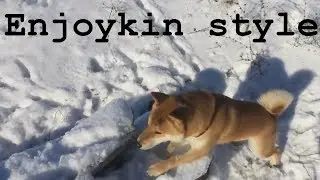 BADMINDO - ЭТО ФИАСКО