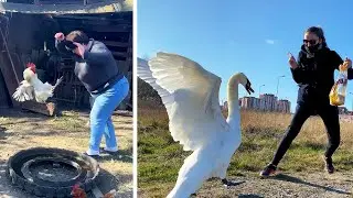 #52 Die besten Videos 2025 || ✪ Stern DuTube