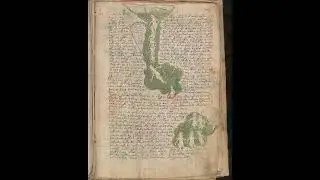 O MANUSCRITO mais MISTERIOSO do Mundo #shorts
