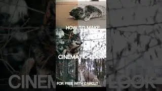 READ THE CAPTION ⚠️  #cinematicvideo #colorgrading #travel #cinematiccity #cinematicphoto