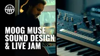 Moog Muse | Overview & Sound Design | Thomann