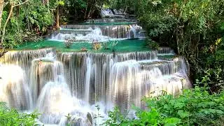 Majestic and Peaceful Waterfalls