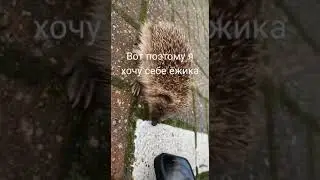 Видео не моё,текст мой#dance #memes