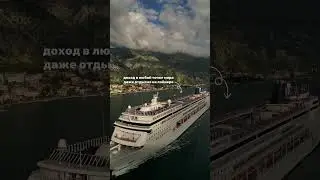 Давайте сразу к делу, выберите наш курс  #иммиграция #shorts