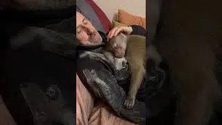 Люська всех выгнала от папы Влада и СПОКОЙНО ЗАСНУЛА)