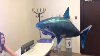 Акула Олег