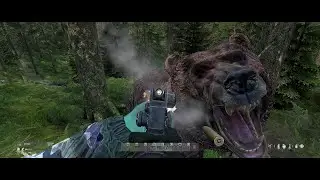 DayZ Bear hunt on a modded server