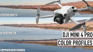 DJI MINI 4 PRO Color Profiles: Comparison D-LOG M, HLG, & NORMAL Profile