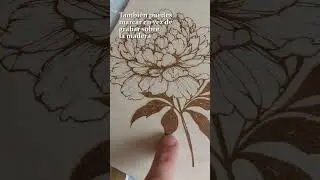 cómo hacer una prensa para secar flores y hojas