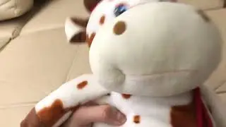 Бычок Василёк