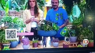 VIVA O VERDE Has A GSOD #3