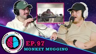 Monkey Mugging - Ep. 97
