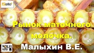 Рынок маточного молочка. 