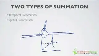 019 What is Summation (2 Types)