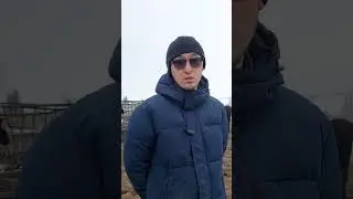 Как в Акмолинской области работает программа 
