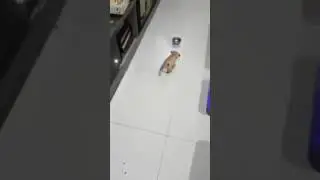 Проголодался так проголодался!