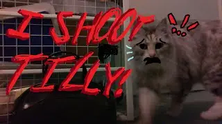 I SHOOT TILLY!