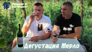 Видите Мерло? А он есть!!!