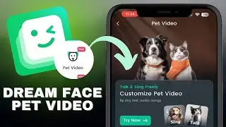 How to Use Pet Video on DreamFace AI - Animate Your Pet with AI!