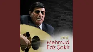 Pêşwazîya Bûk Û Zava (Gelî Qîza Xwe Karkin)