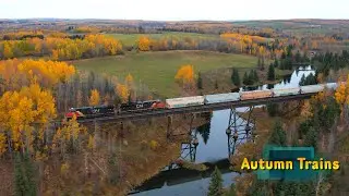 Autumn and 3 trains between Entwistle and Gainford Alberta
