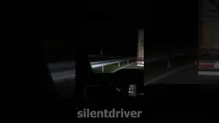 you motherfu - ets2 shorts