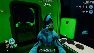 Subnautica: Below Zero Let's Bug