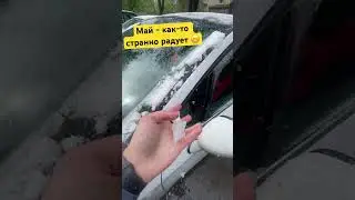 ТОЧНО ЛЕТО ПРИШЛО ??? #лето #релкмендации #россия #зима #странности