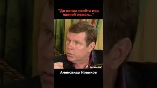 Александр Новиков избил депутата Госдумы