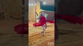 #Viral Video
