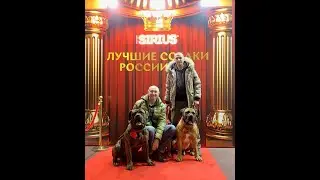 Лучшие собаки России 2024. Выпускники Войс Вельд