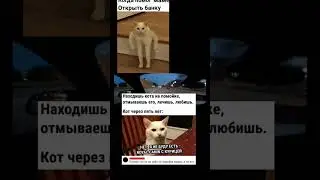 #мемы #коты #2024 #мем #car #speed