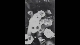 мой друг - художник и поэт