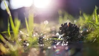 Ночной стрим, хули нет