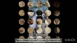 Хорьку Сени посвещается.
