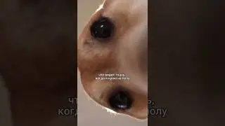 А вы где чаще кроите и где удобнее?) Поделитесь опытом⬇