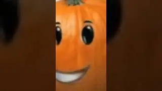 эври дец ай шефелин 