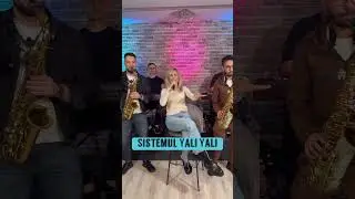 SISTEMUL YALI YALI #claudiapuican #arminnicoara #live2024