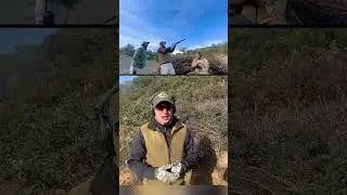 Driven Partridge Hunt / Spain / 250 birds in 2 days / [2023]