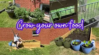 DIY Raised Bed + Container Gardening 👩‍🌾 || Beginner Gardener 2023
