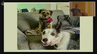 Training my dog with Python