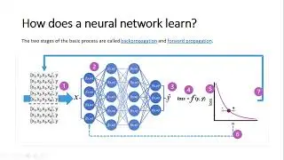 convolutional neural network (CNN)