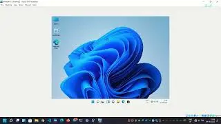 how to install virtual box guest additions to fix display resolution problem in Windows 11