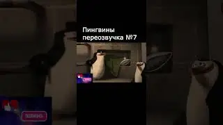 Дыра бывшей и Пингвины из мадагаскара №7