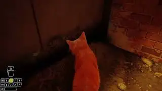 The laser is not real - Stray