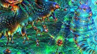 Life is Purposeless DeepDream zoom video