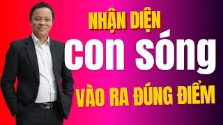Cách chọn thời điểm mua bán: 4 CON SÓNG bất động sản I Phạm Văn Nam