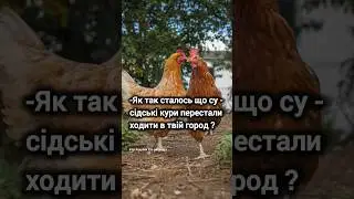 Суперовий анекдот НЕ про рибалку.  Усміхніться 🌿😂😂😂🌿