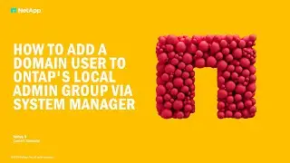 How to add domain user to ONTAP local admin group